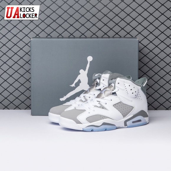Air Jordan 6 Cool Grey CT8529-100 Men's